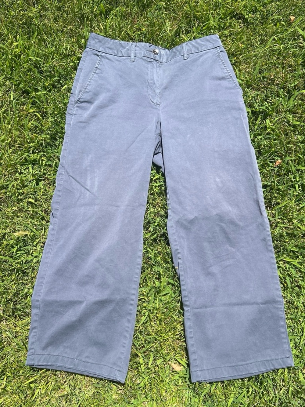 Elizabeth and James Men's Wide-Leg Chinos in Slate Blue